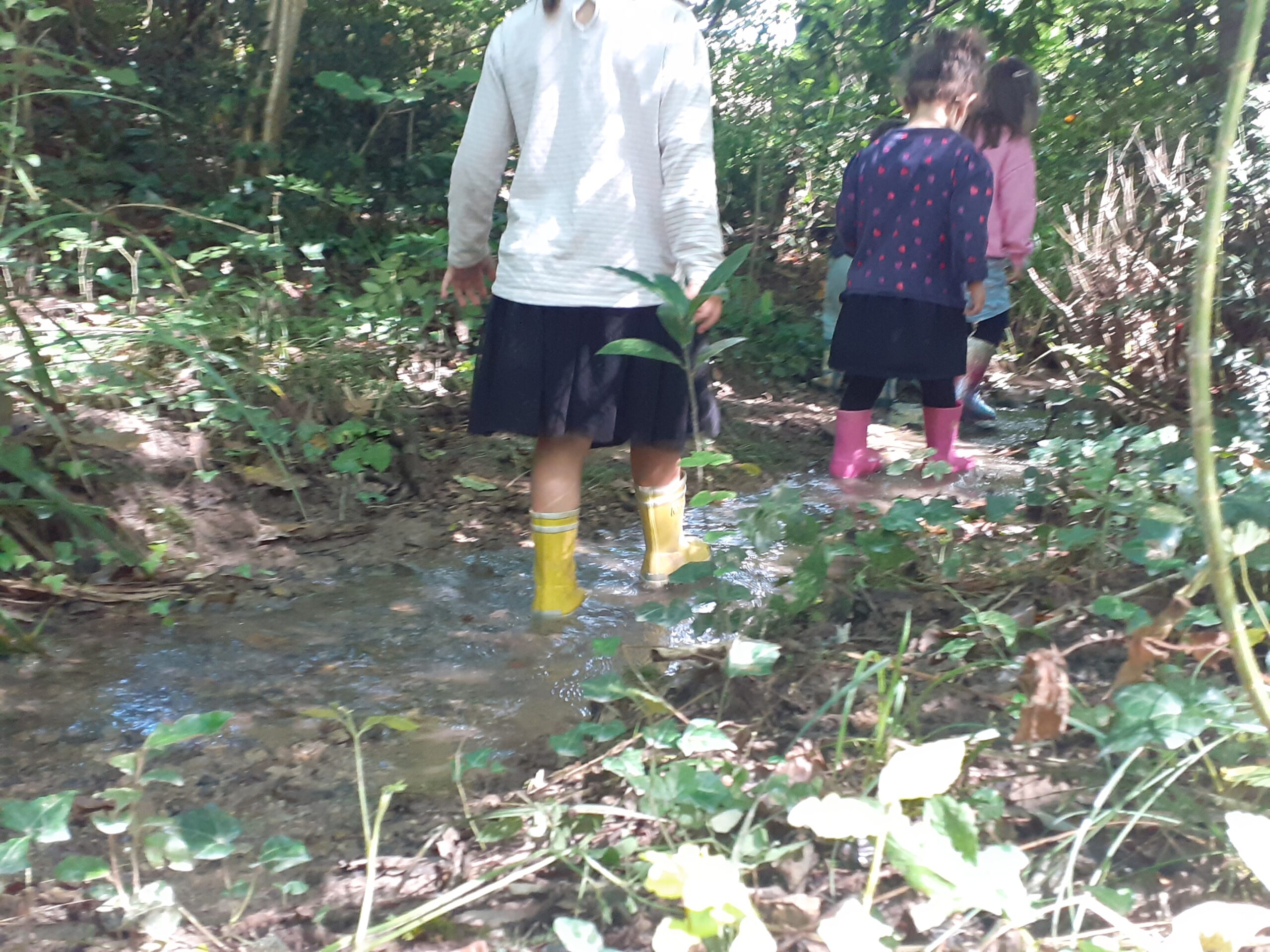 Erlaitza Natura
